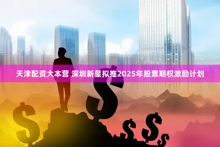 天津配资大本营 深圳新星拟推2025年股票期权激励计划