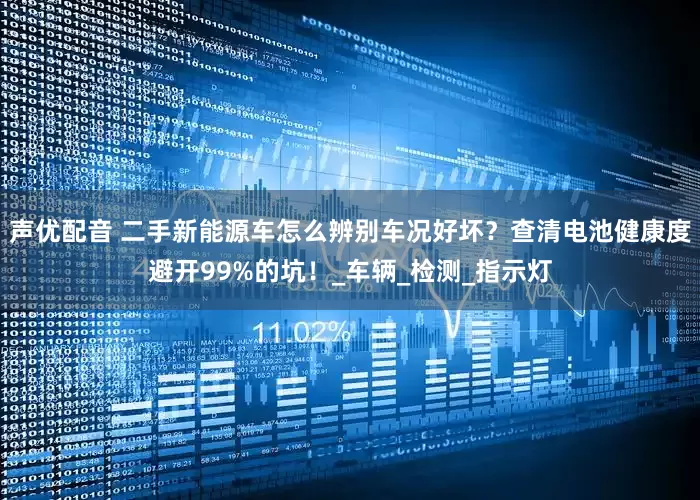 声优配音 二手新能源车怎么辨别车况好坏？查清电池健康度避开99%的坑！_车辆_检测_指示灯