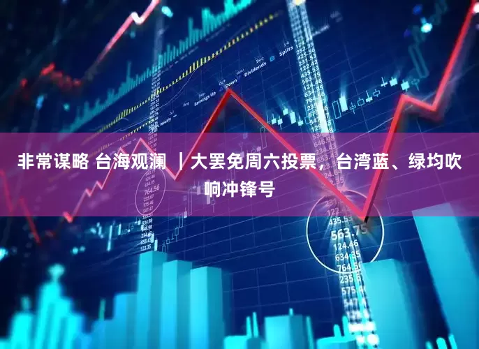 非常谋略 台海观澜 ｜大罢免周六投票，台湾蓝、绿均吹响冲锋号
