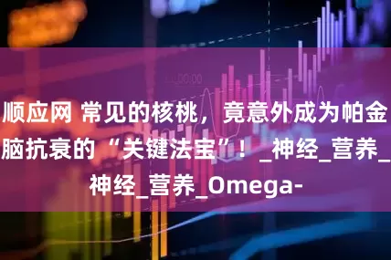 顺应网 常见的核桃，竟意外成为帕金森患者健脑抗衰的 “关键法宝”！_神经_营养_Omega-