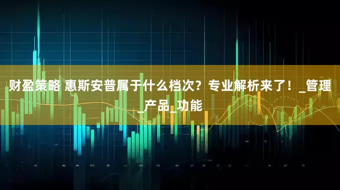 财盈策略 惠斯安普属于什么档次？专业解析来了！_管理_产品_功能