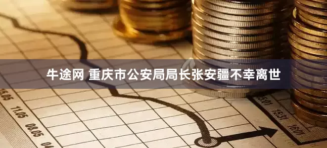 牛途网 重庆市公安局局长张安疆不幸离世